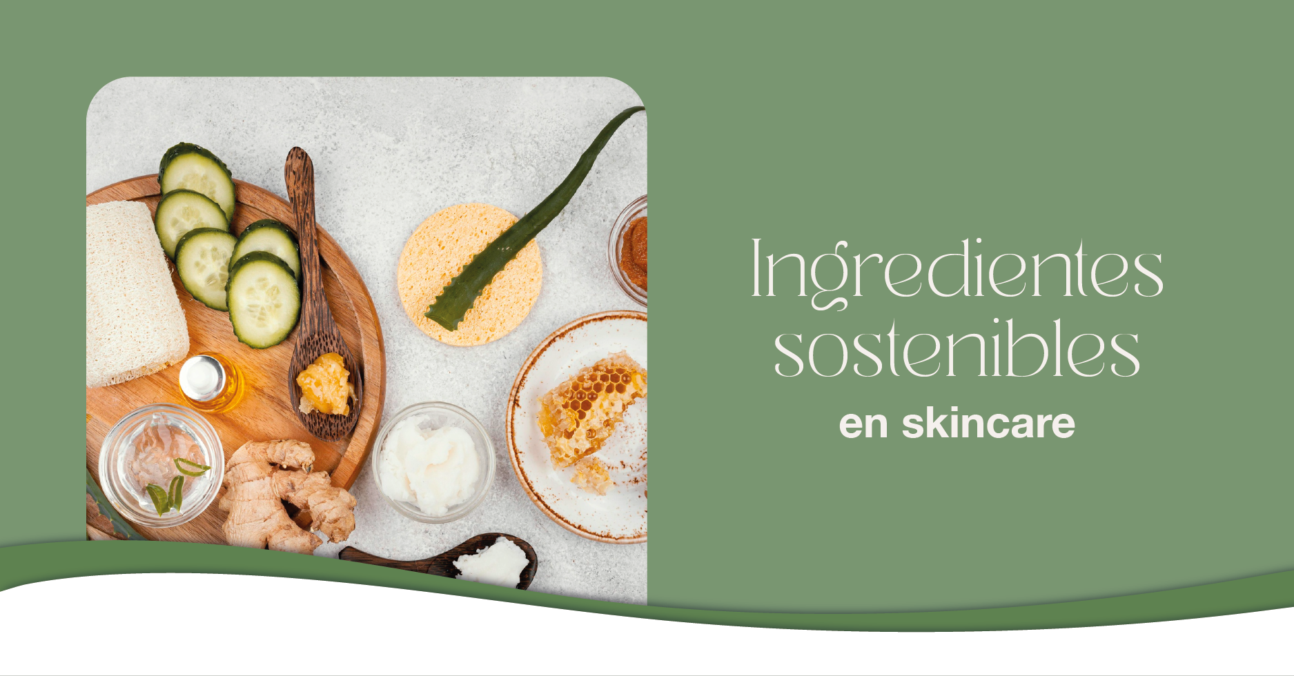 Ingredientes Sostenibles en Skincare