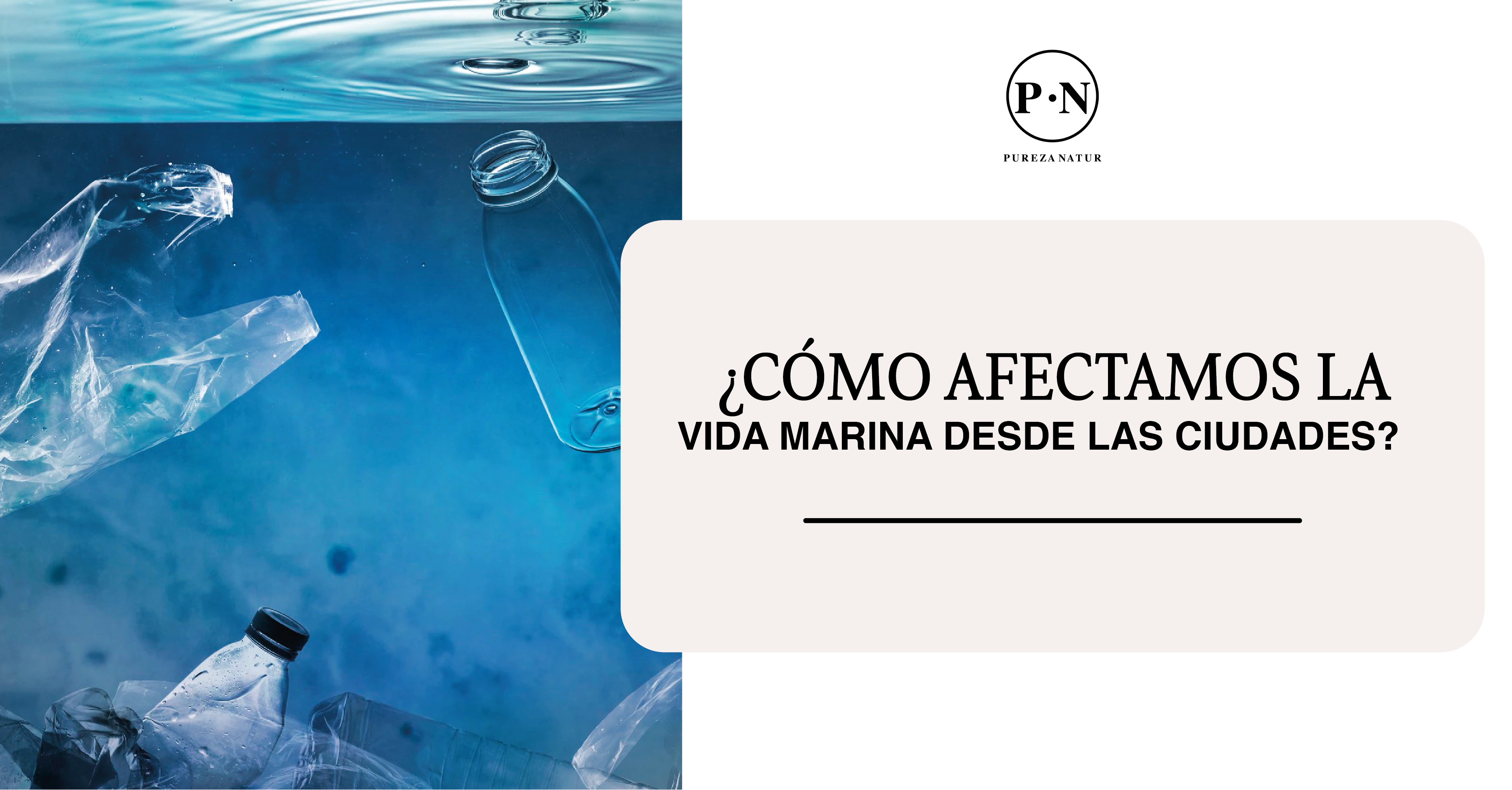 Cómo afectamos la vida marina desde las ciudades.
