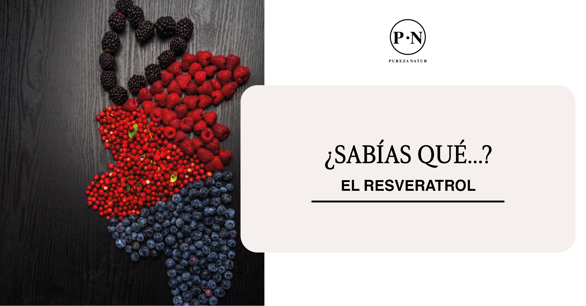 ¿Sabias que... el Resveratrol?