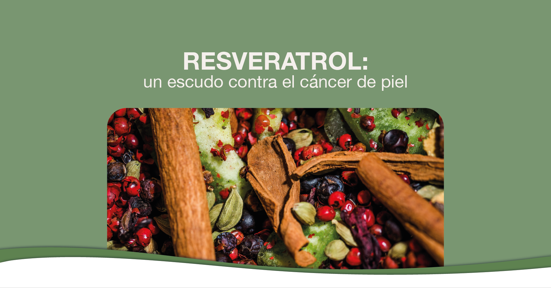 Resveratrol: Un escudo prometedor contra el cáncer de piel