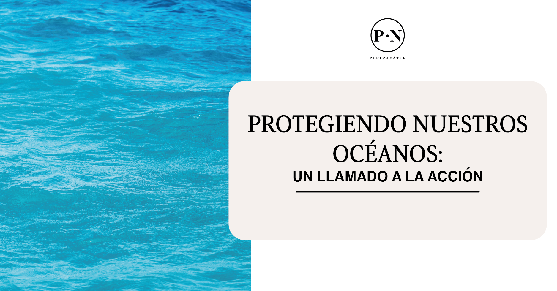 Protegiendo Nuestros Océanos: Un Llamado a la Acción