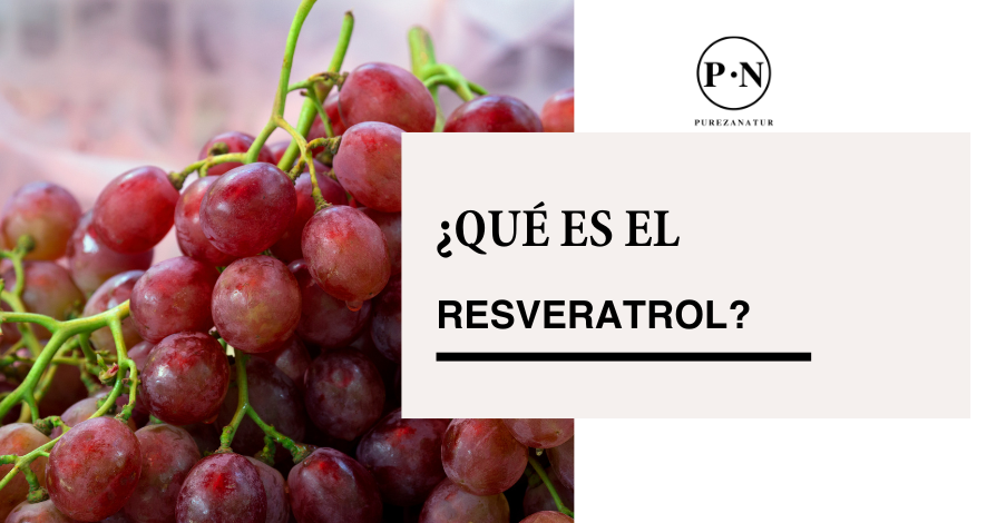 ¿Qué es el resveratrol?