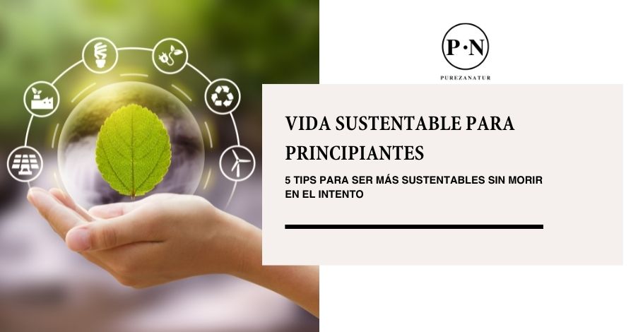 Vida sustentable para principiantes: 5 tips para ser más sustentables sin morir en el intento